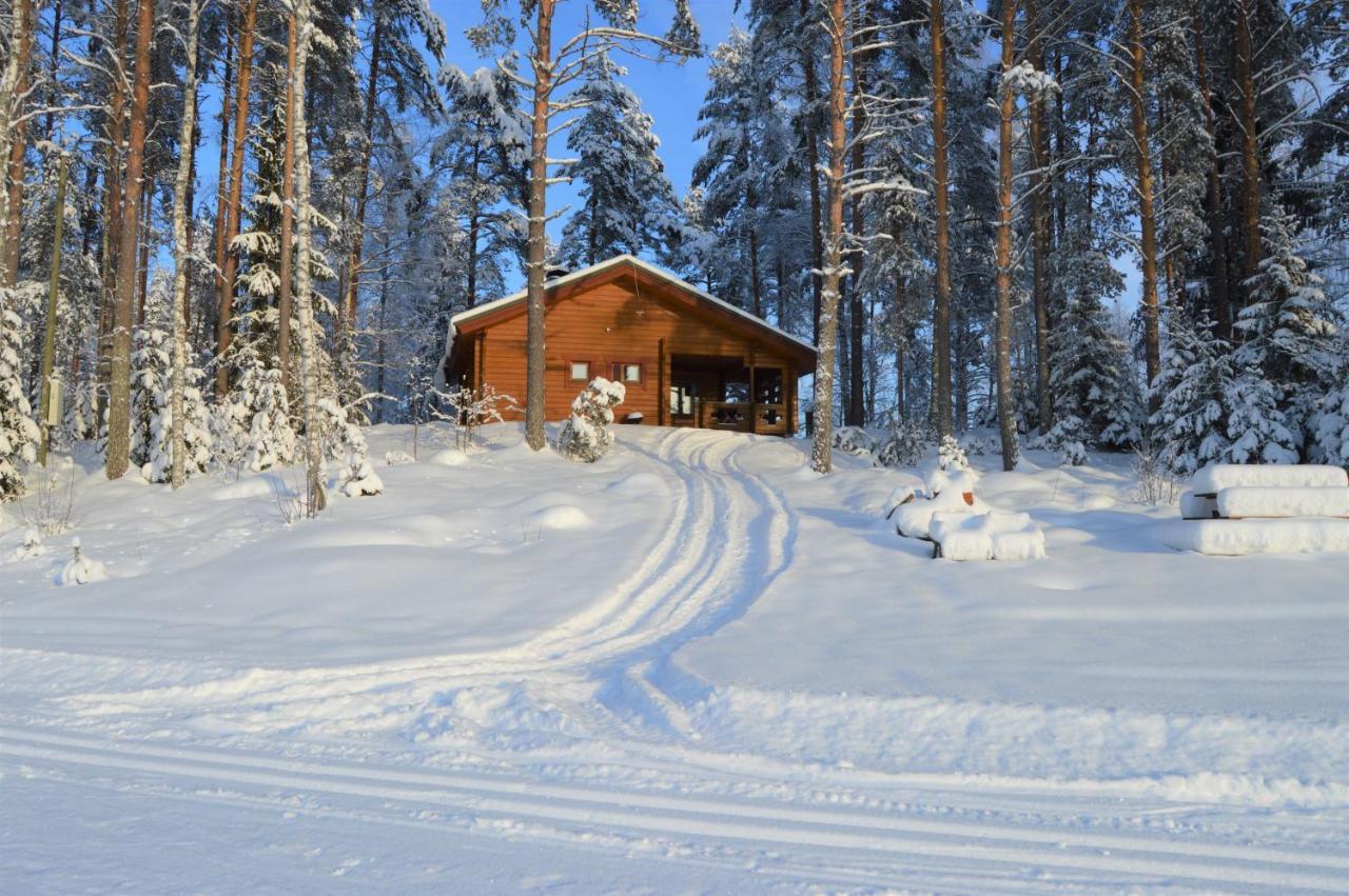 Rinnepelto Holiday Cottages Tahkovuori Dış mekan fotoğraf