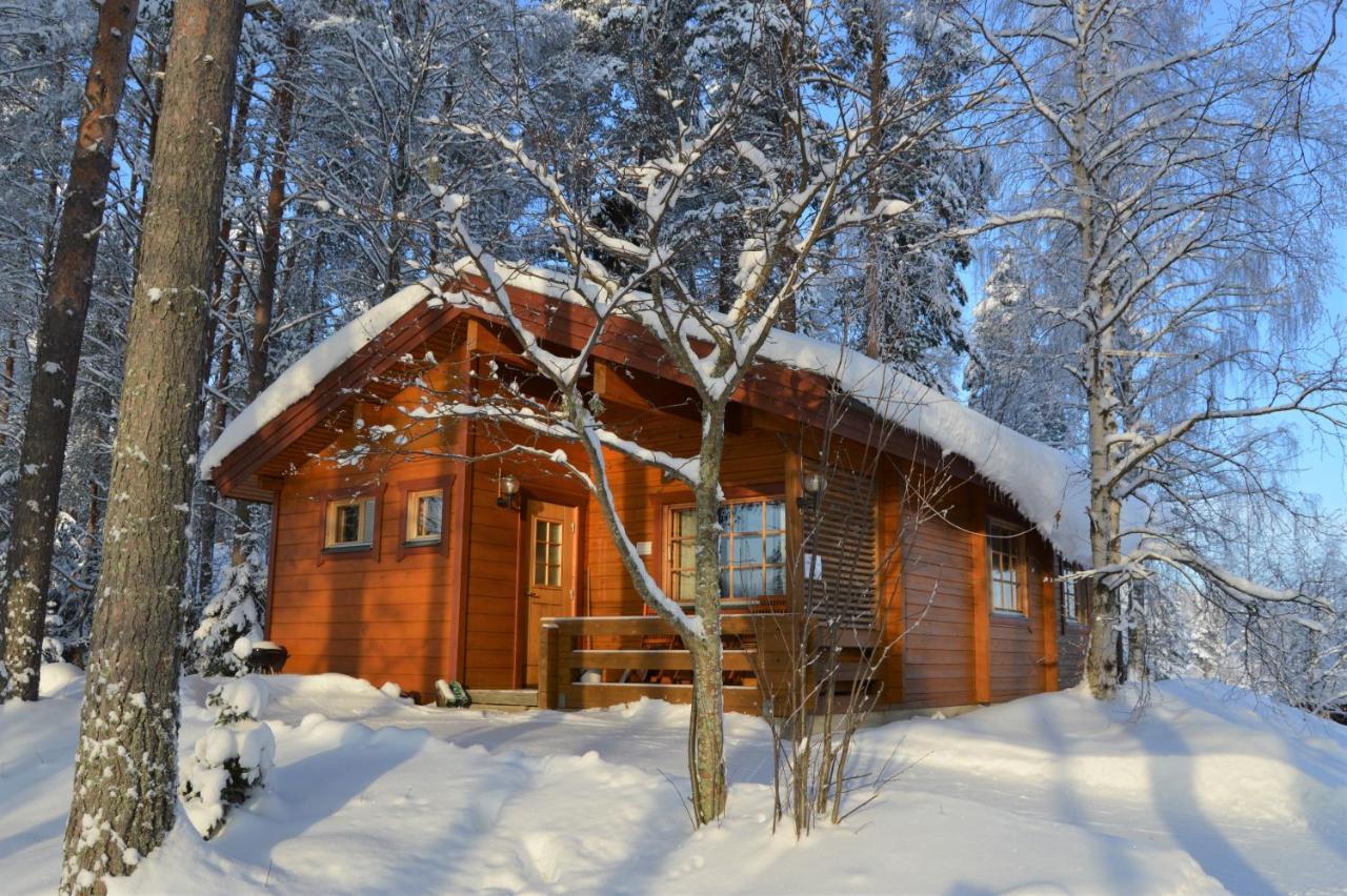 Rinnepelto Holiday Cottages Tahkovuori Dış mekan fotoğraf